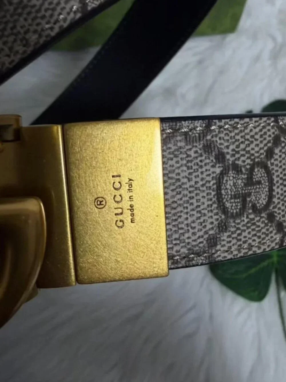 Gucci Women's Black and Brown Belt